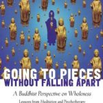 The Wisdom of the Healing Wound: A New View on Why We Hurt & How We Can Cure Even the Deepest Physical and Emotional Wounds